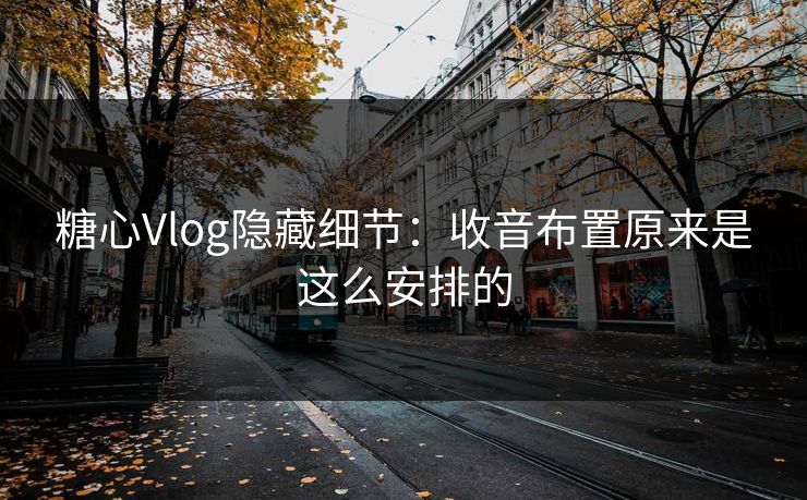 糖心Vlog隐藏细节：收音布置原来是这么安排的