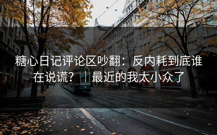 糖心日记评论区吵翻：反内耗到底谁在说谎？｜最近的我太小众了