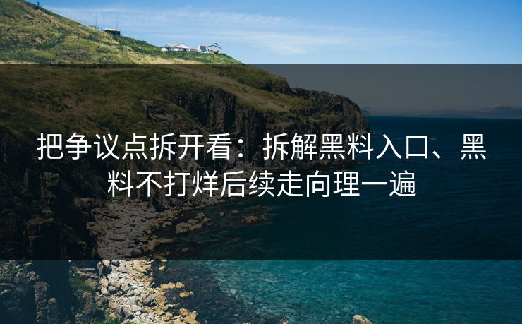 把争议点拆开看：拆解黑料入口、黑料不打烊后续走向理一遍