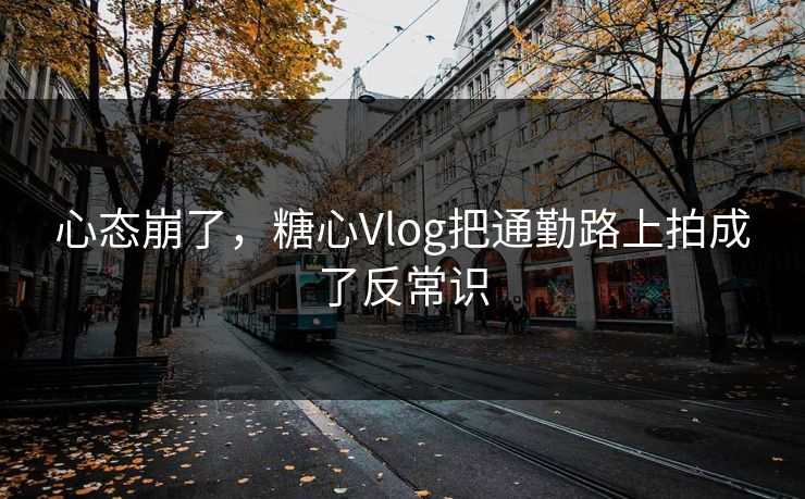 心态崩了，糖心Vlog把通勤路上拍成了反常识