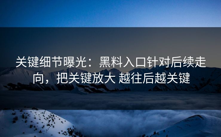 关键细节曝光：黑料入口针对后续走向，把关键放大 越往后越关键
