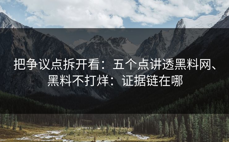 把争议点拆开看：五个点讲透黑料网、黑料不打烊：证据链在哪