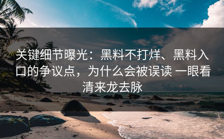 关键细节曝光：黑料不打烊、黑料入口的争议点，为什么会被误读 一眼看清来龙去脉