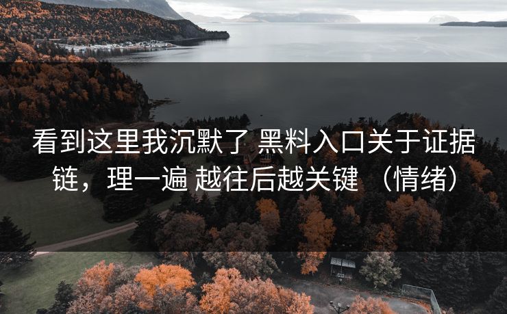 看到这里我沉默了 黑料入口关于证据链,理一遍 越往后越关键 (情绪) 看到这里我沉默了 黑料入口关于证据链,理一遍 越往后越关键 (情绪)