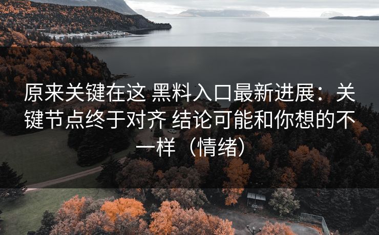 原来关键在这 黑料入口最新进展:关键节点终于对齐 结论可能和你想的不一样(情绪) 原来关键在这 黑料入口最新进展:关键节点终于对齐 结论可能和你想的不一样(情绪)
