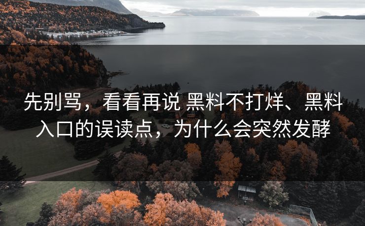 先别骂，看看再说 黑料不打烊、黑料入口的误读点，为什么会突然发酵